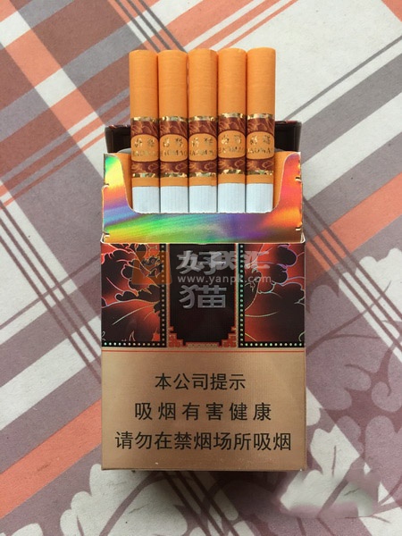 好猫(如意)相册 283_17459