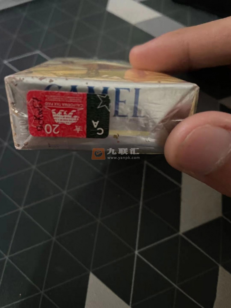 骆驼(无嘴)相册 2227_83314