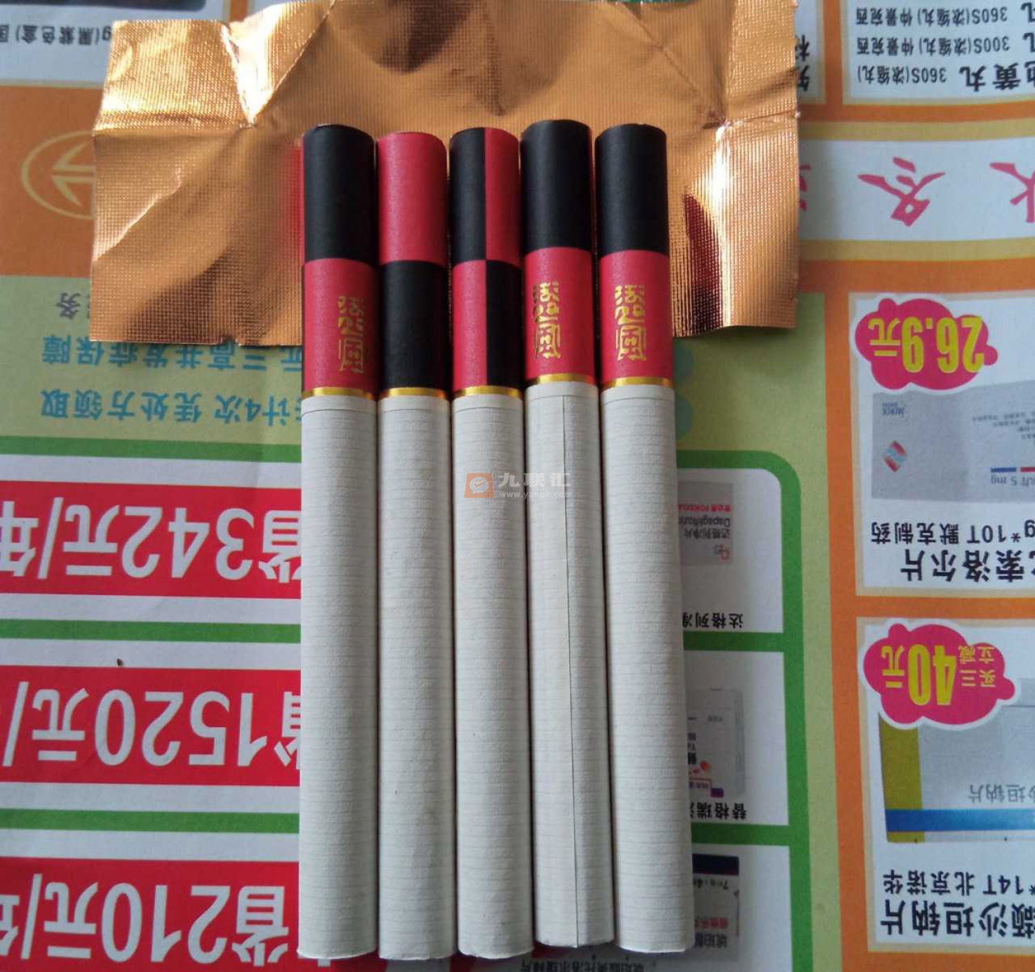 红金龙(硬楚风)相册 362_25350