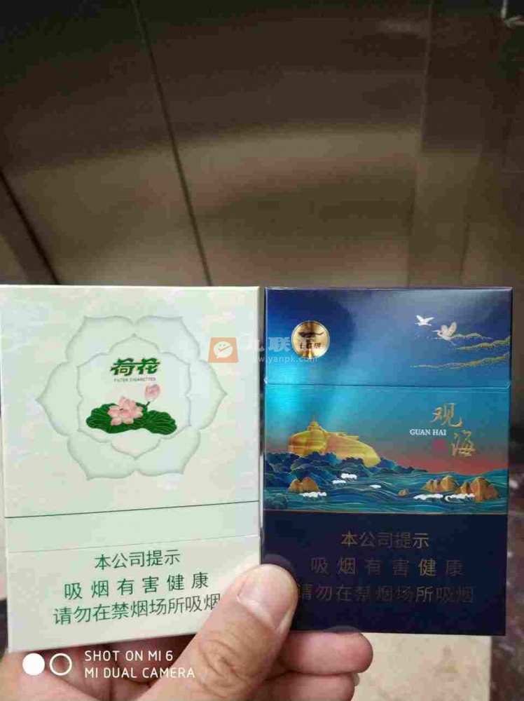 七匹狼(观海中支)相册 95317_79713