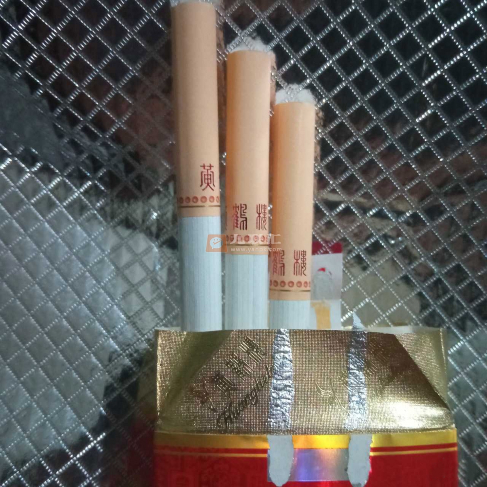 黄鹤楼(软鸿运)相册 1099_70957