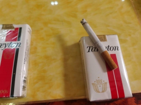 泰瑞登(低焦美版)