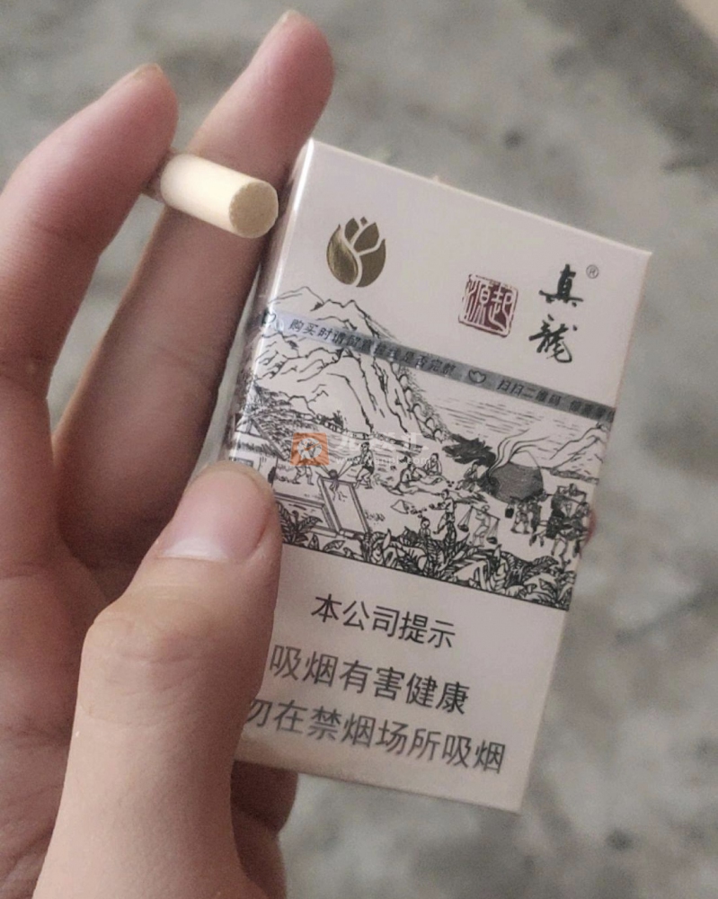 真龙起源.金花茶版相册 22556_93891