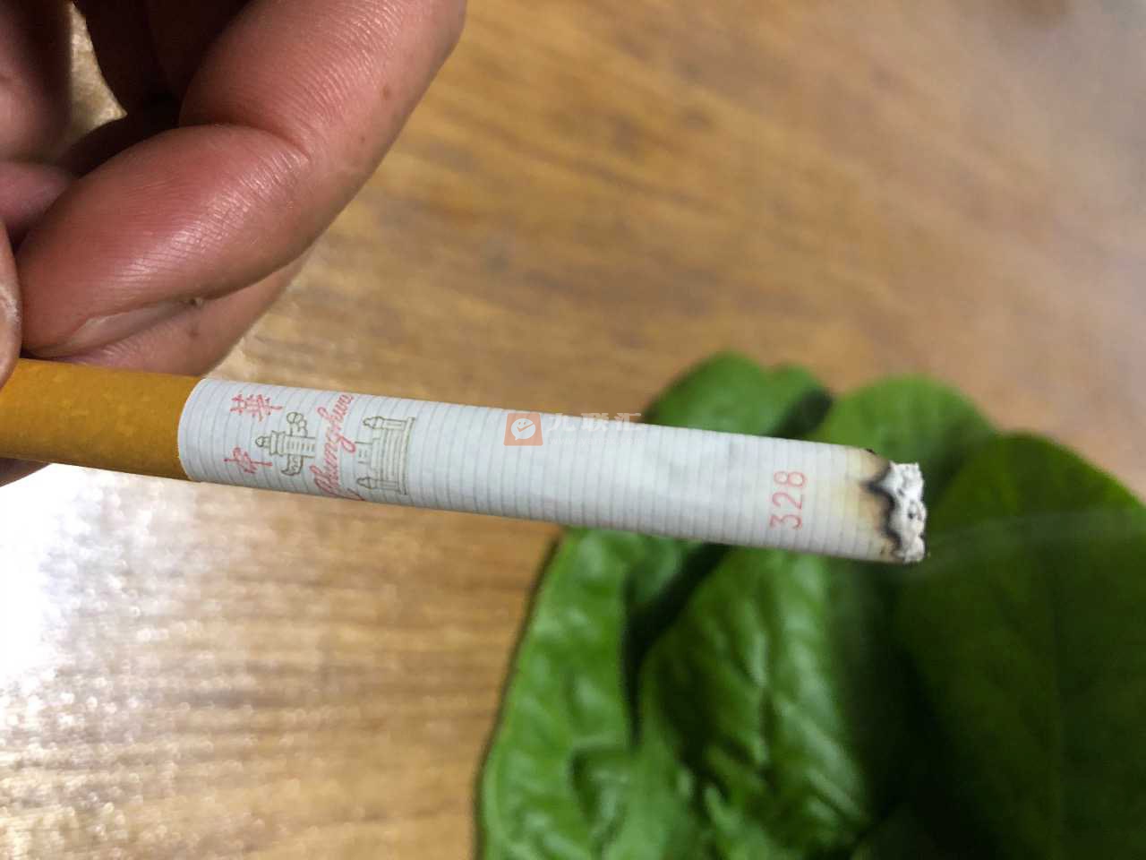 中华(软)相册 929_48927