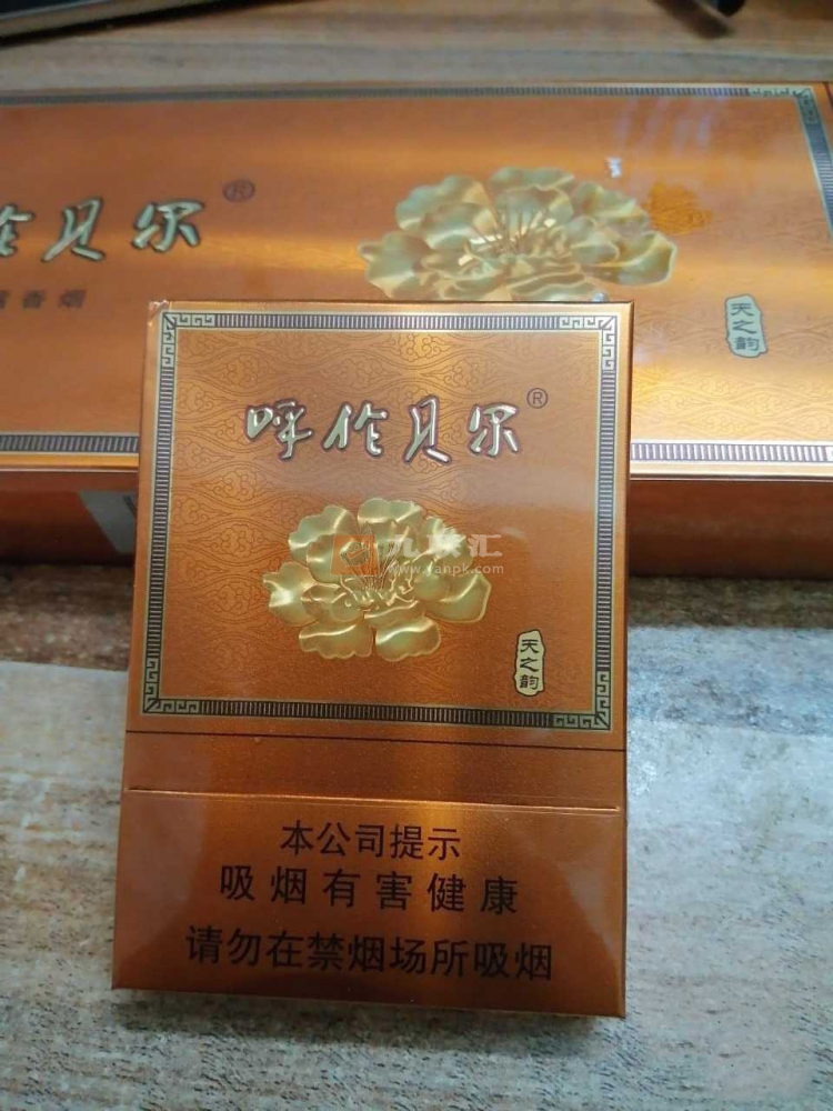 呼伦贝尔(天之韵)相册 93986_59564