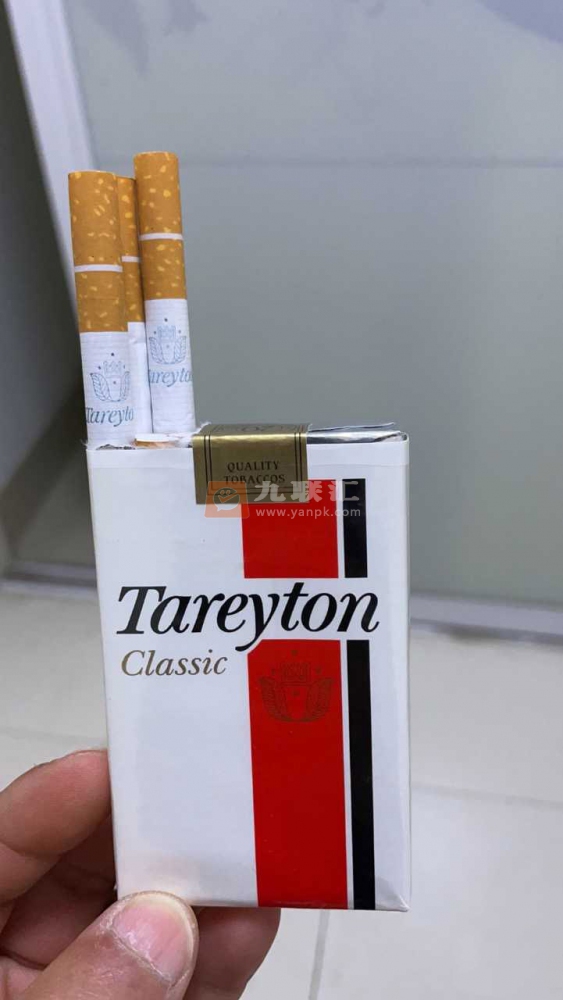 泰瑞登(软经典美版)相册 100368_88307