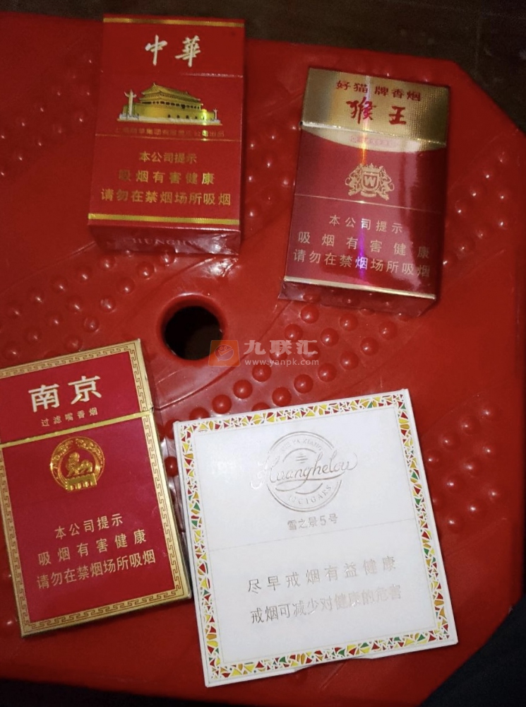 好猫(金猴王)相册 94695_56900