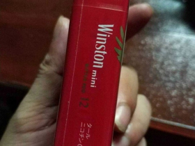 云斯顿(红迷你日税版)