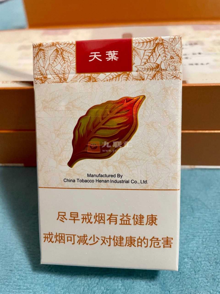 黄金叶(天叶)相册 290_59196