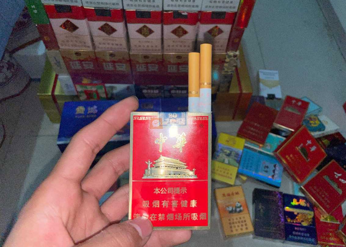 中华(金短支)相册 93902_13576