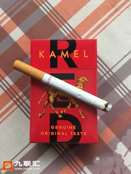 骆驼(硬红美税)相册 95699_40816