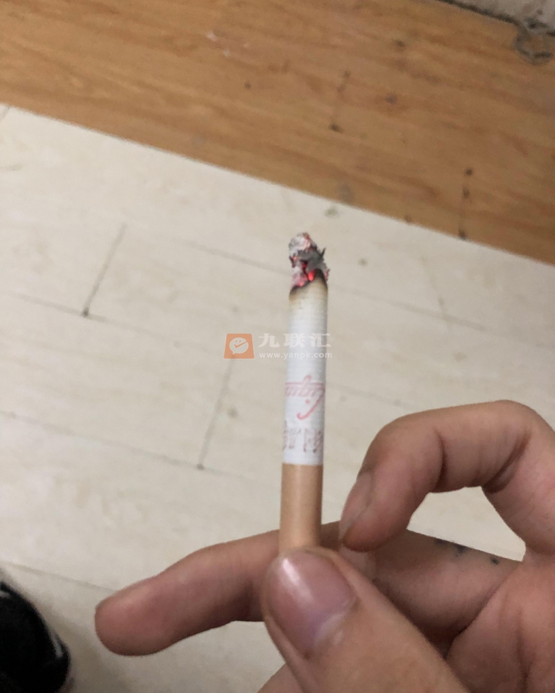 利群(新版)相册 661_29866