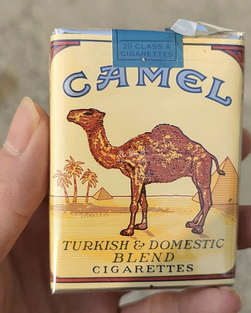 骆驼(美国免税无嘴)相册 2234_58411