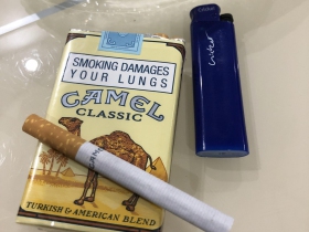 骆驼(软黄南非含税版)