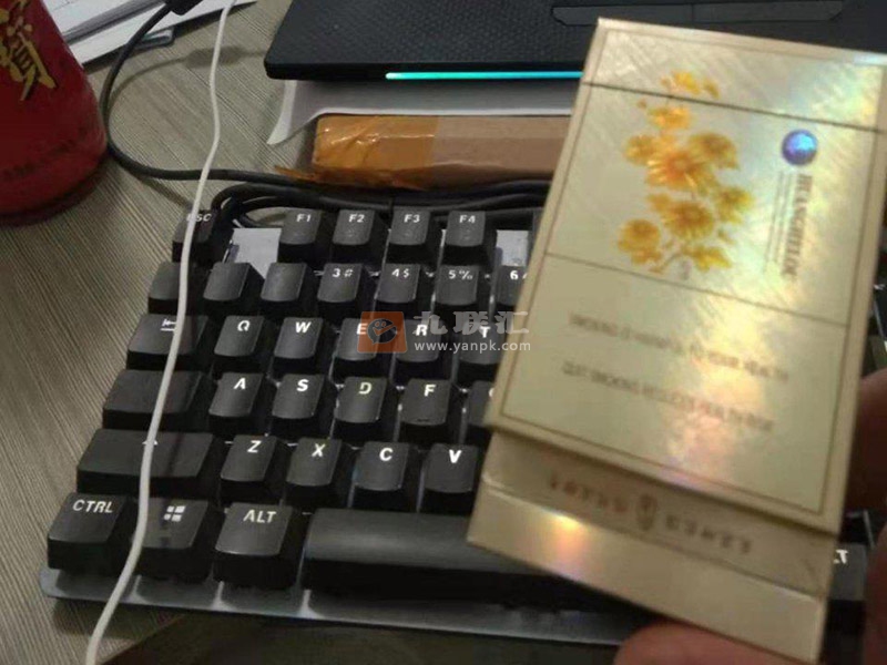 黄鹤楼(滑盖乐道)相册 1390_28987