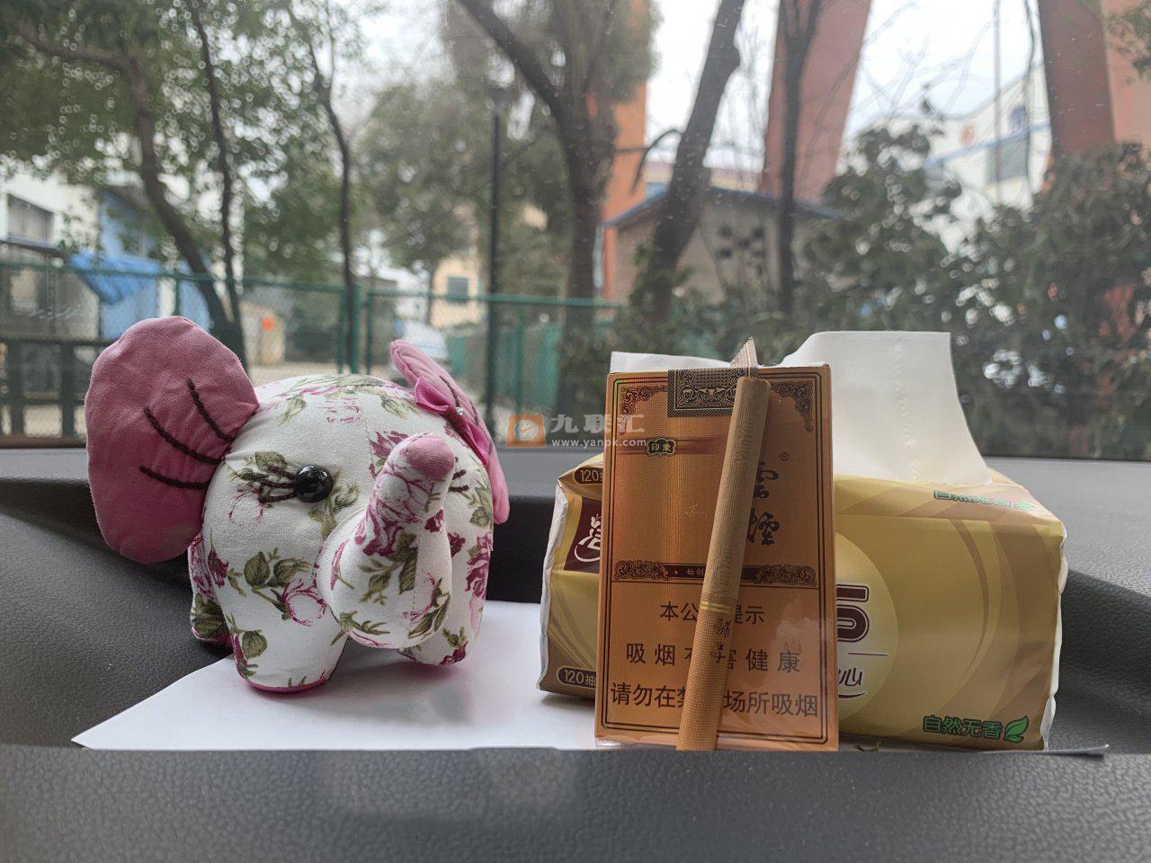 云烟(软礼印象)相册 1064_83336