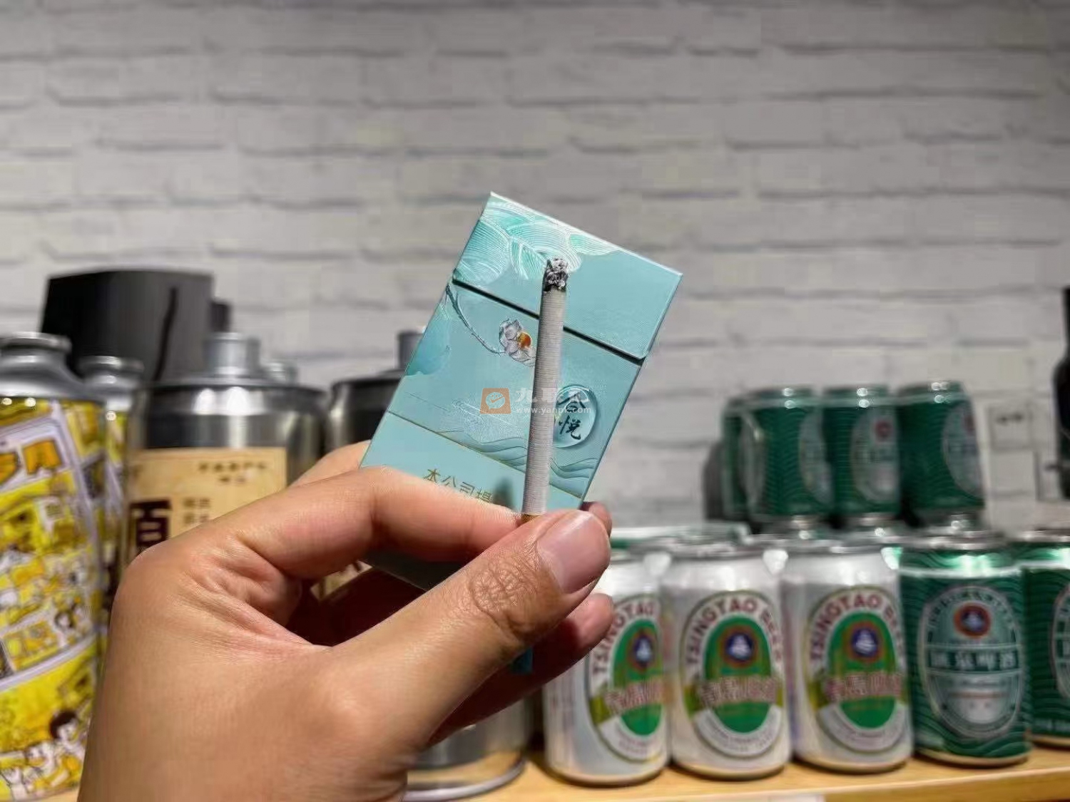 泰山(合悦)相册 95686_84814