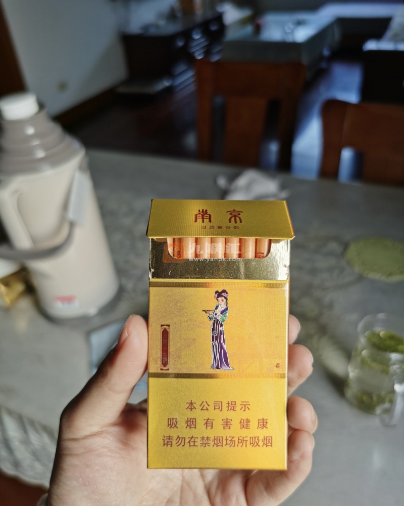 南京(金陵十二钗烤烟)相册 1107_18116