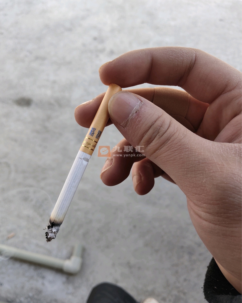 黄鹤楼(硬蓝中支)相册 95120_56373