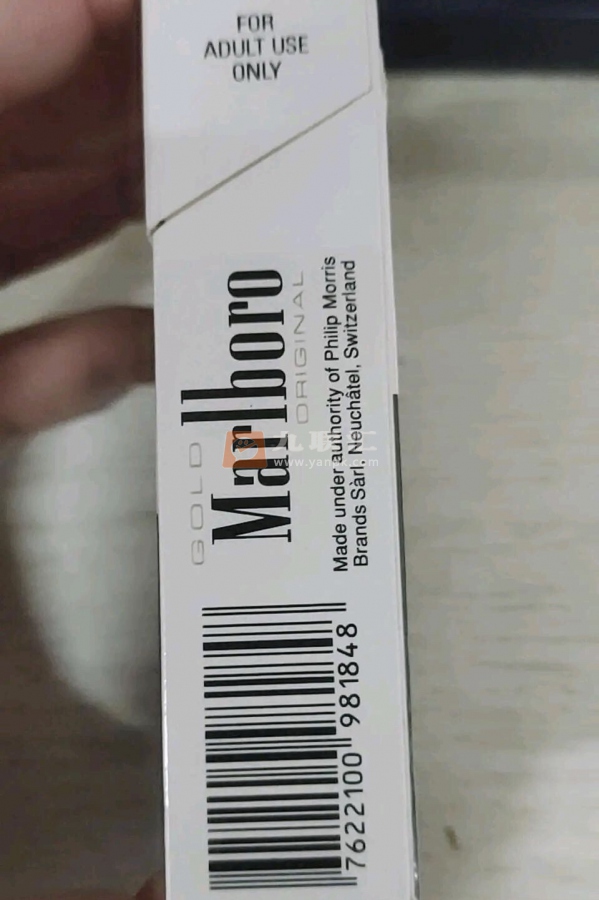 万宝路(白金欧盟版)相册 95305_13570