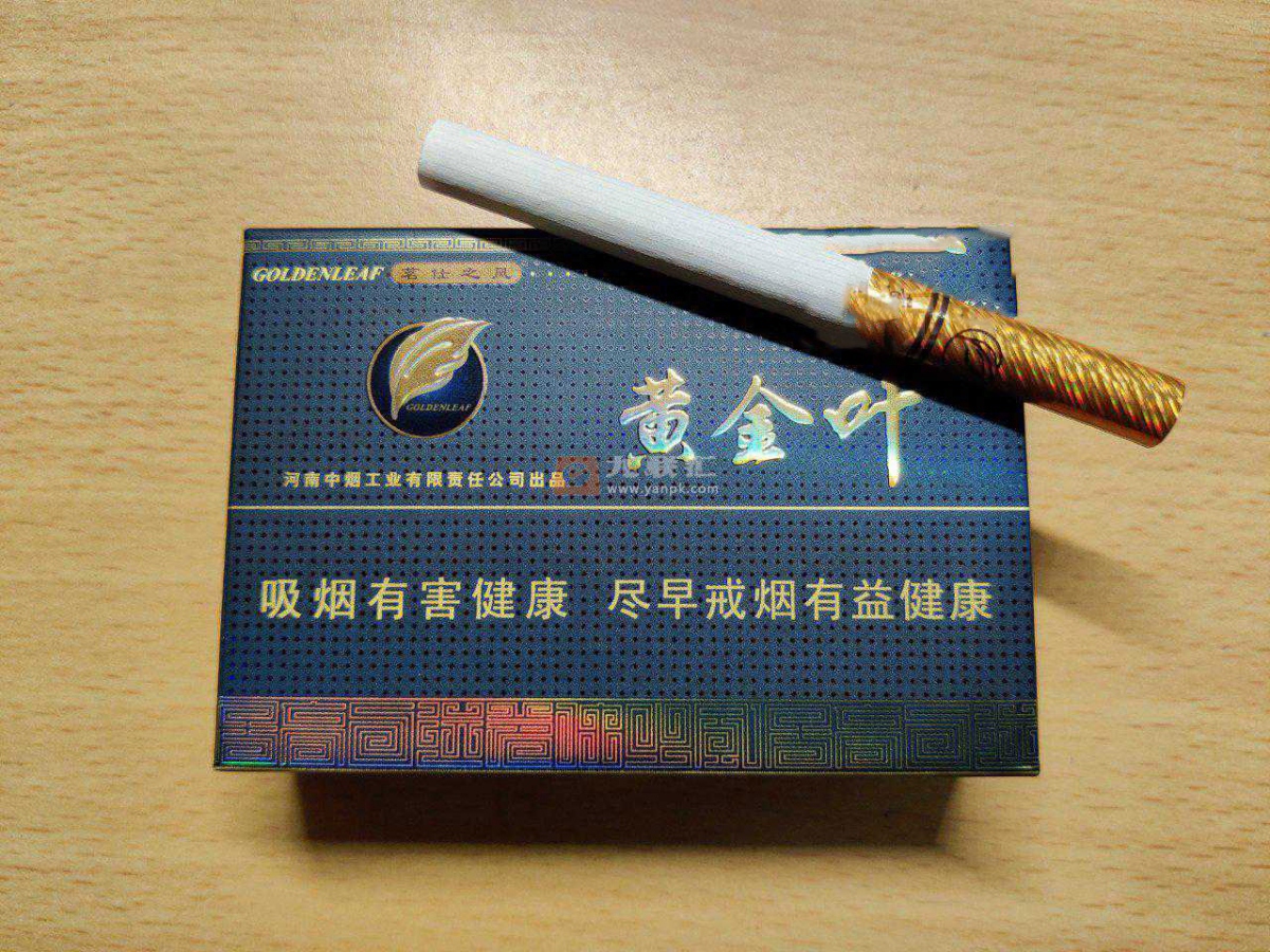 黄金叶(茗仕之风)相册 289_69043