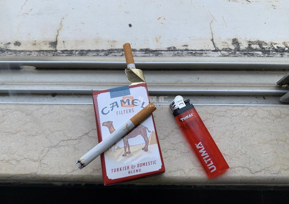 骆驼(硬黄)相册 94811_29629