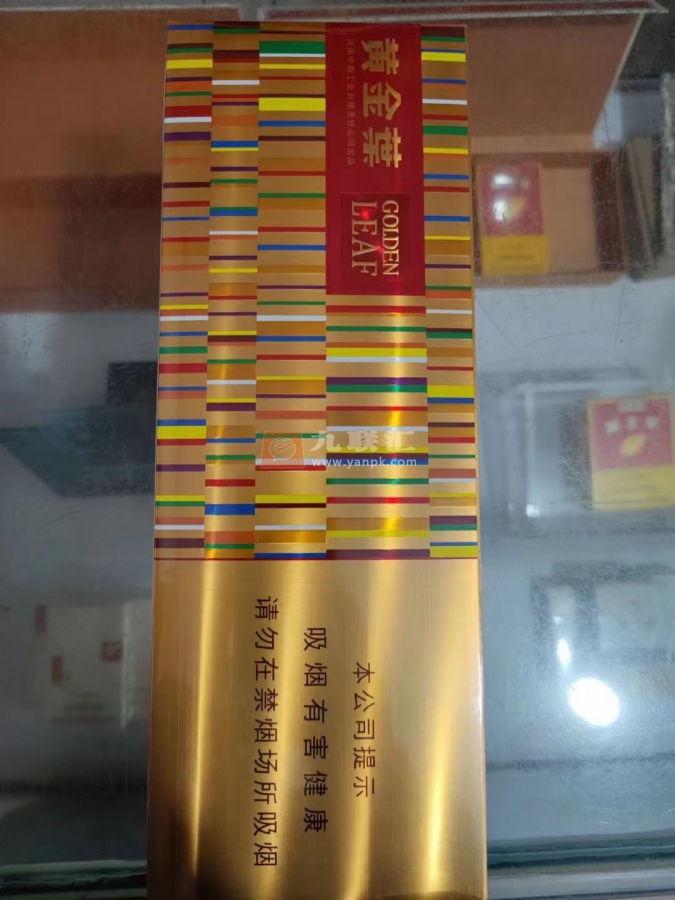 黄金叶(金炫尚)相册 103101_59114