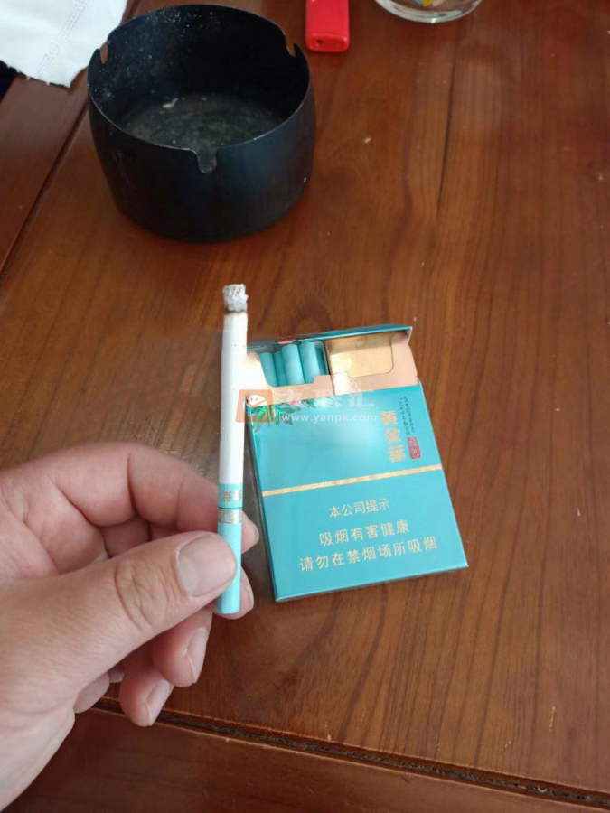 黄金叶(牡丹国色双中支)相册 105014_50992