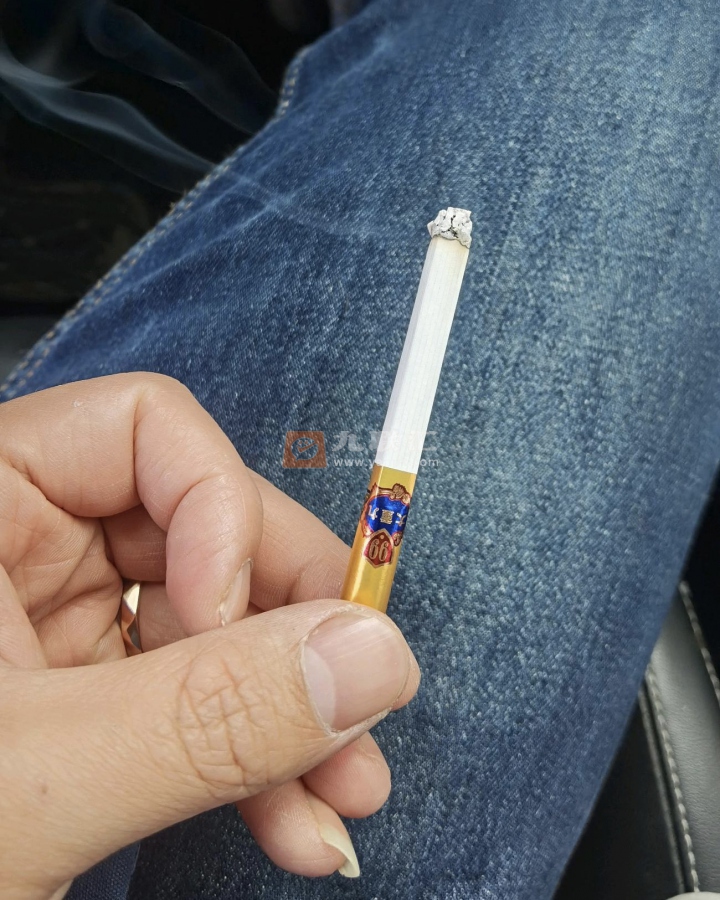 云烟(9+1大重九)相册 1477_31384