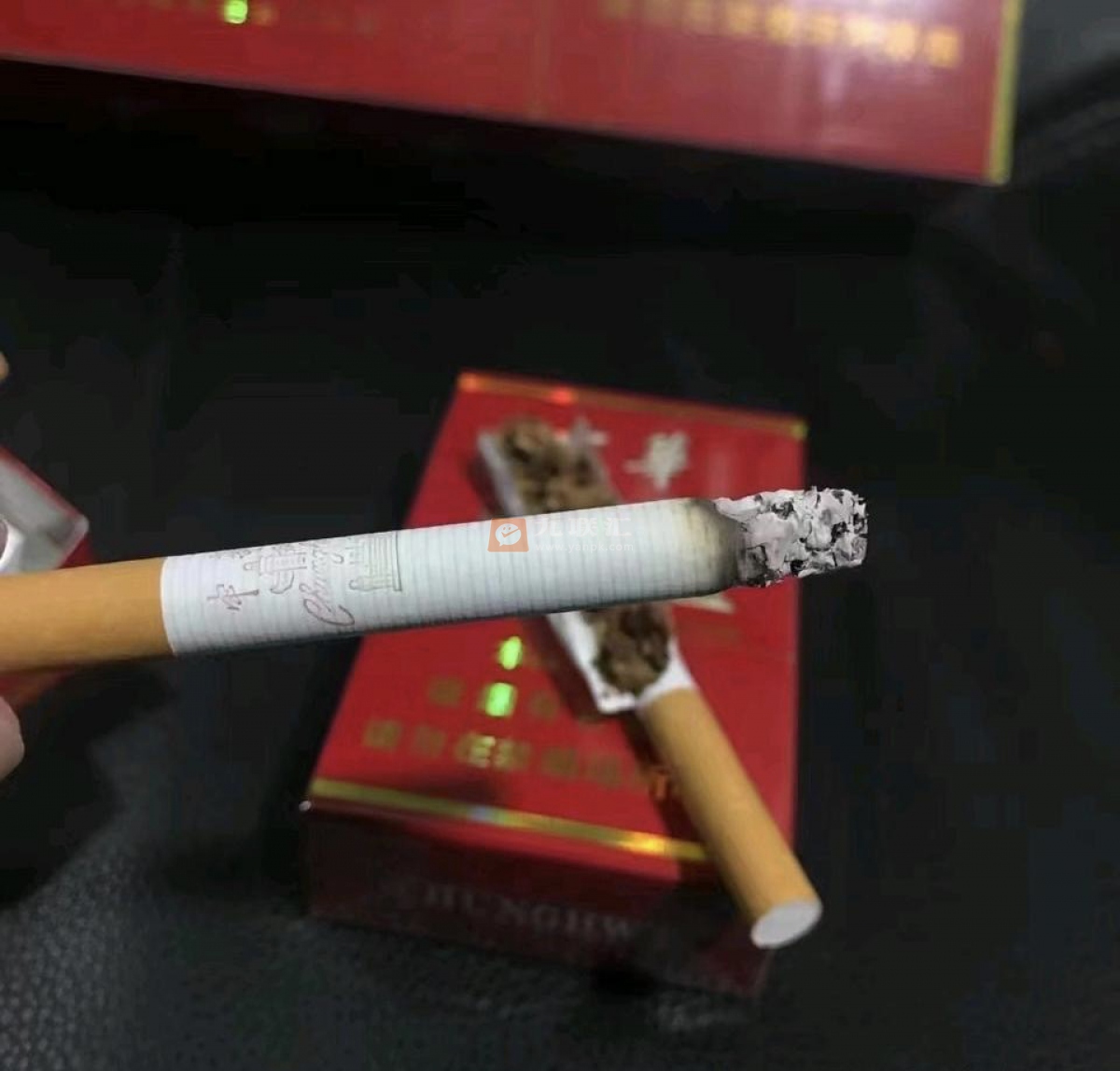 硬中华品鉴 1076_52269