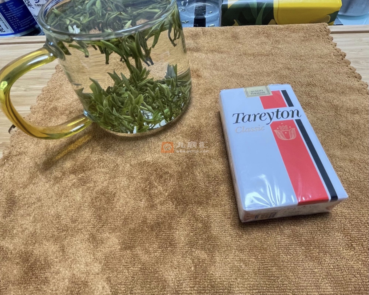 泰瑞登(软经典美版)相册 100368_62413