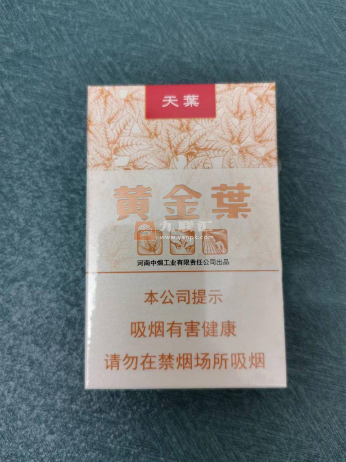 黄金叶(天叶)相册 290_48213