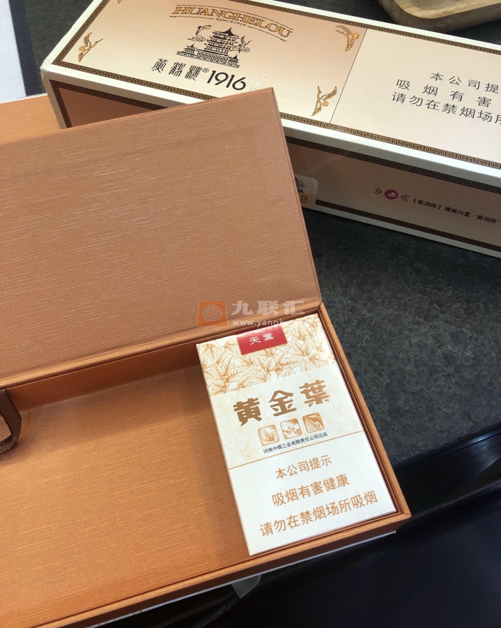 黄金叶(天叶)相册 290_54167