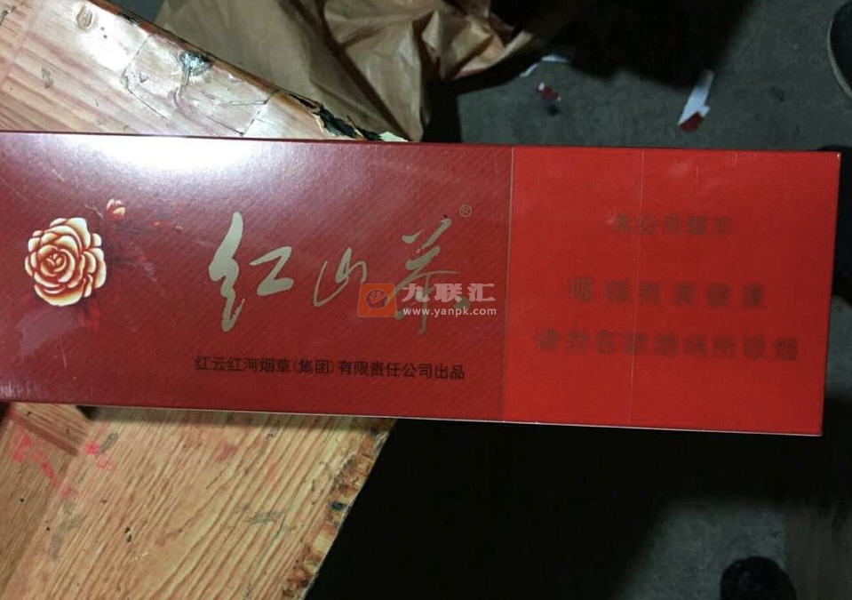 红山茶(红)相册 457_14358