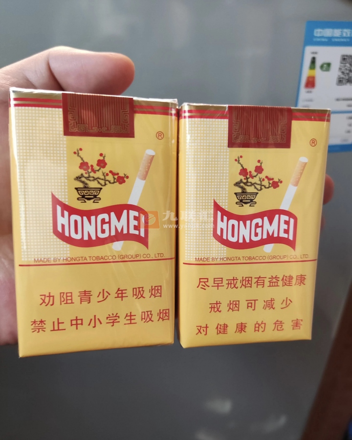 红梅(软黄)相册 333_64157