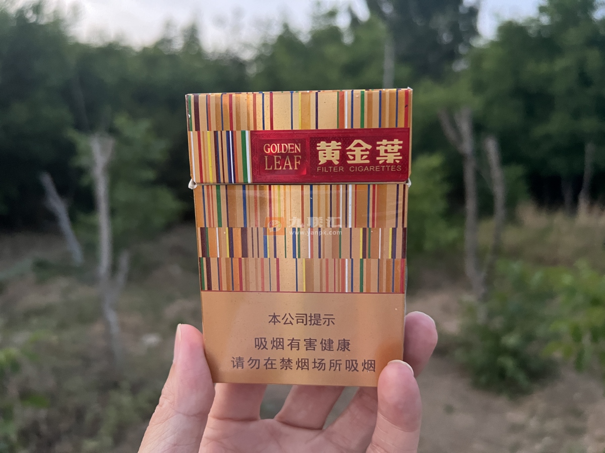 黄金叶(黄金中支)相册 94078_30920