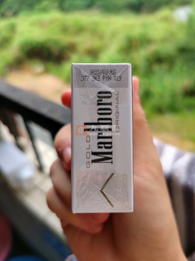 万宝路(硬白金亚太版)相册 95297_38630