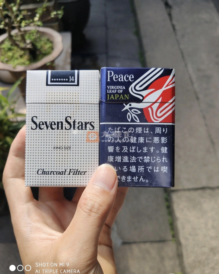 和平(日税限定日本版)相册 95815_54030