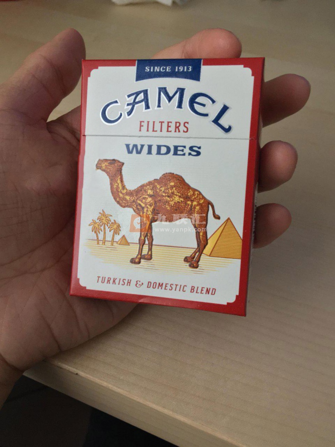 骆驼(硬黄宽版美税)相册 101504_36619