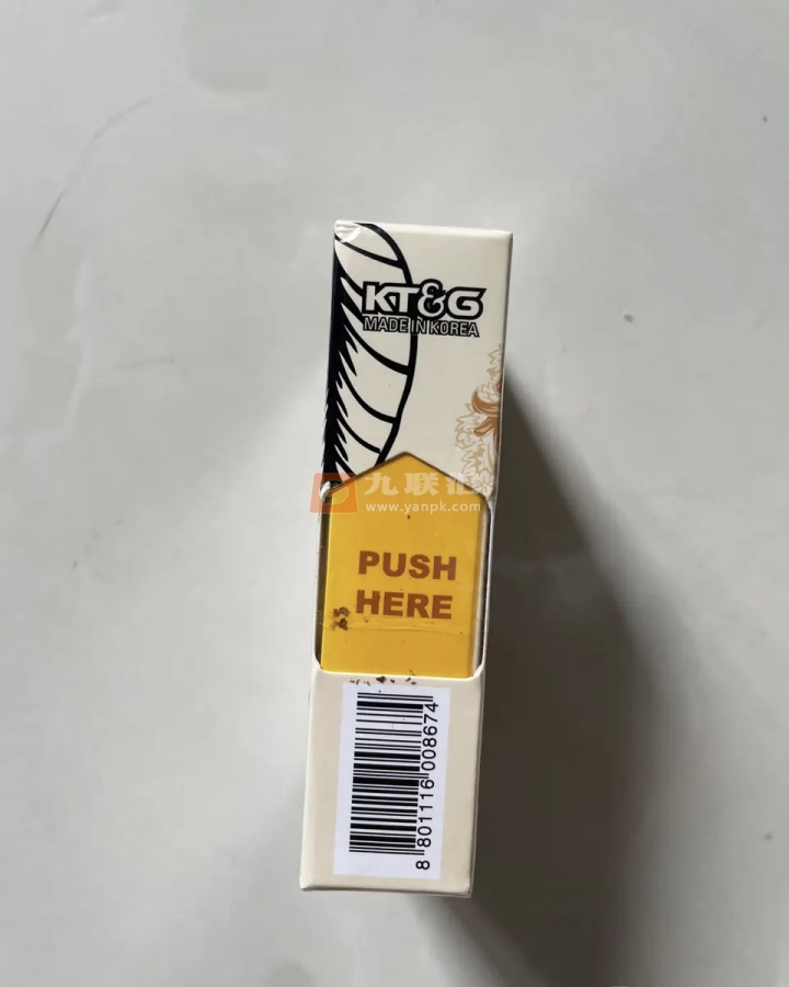 ZEST(marula人猿香蕉侧推)相册 94927_69202