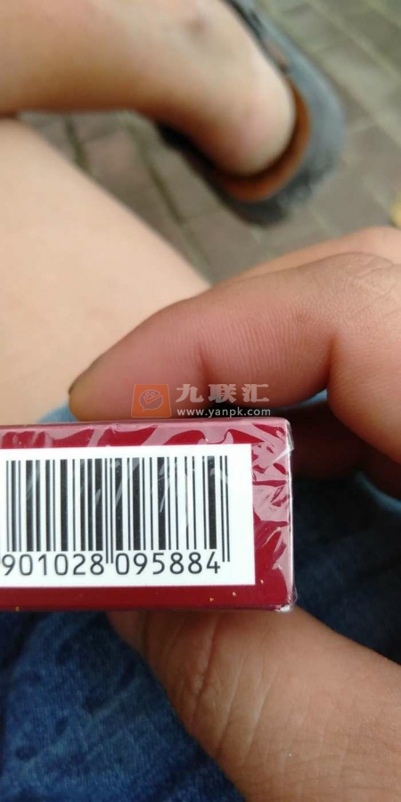 黄果树(新长征)相册 2440_75066