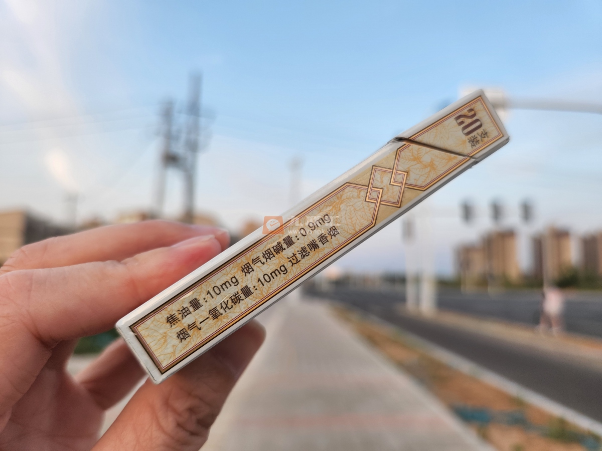 黄金叶(乐途中支)相册 95851_64618