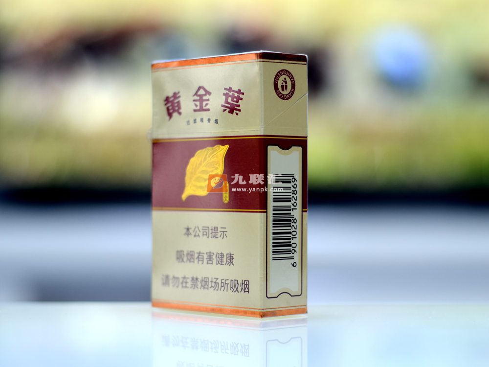 黄金叶喜满堂相册 92708_74646