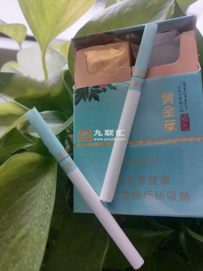 黄金叶(牡丹国色双中支)相册 105014_30052