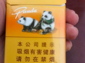 熊猫(时代出口)相册 