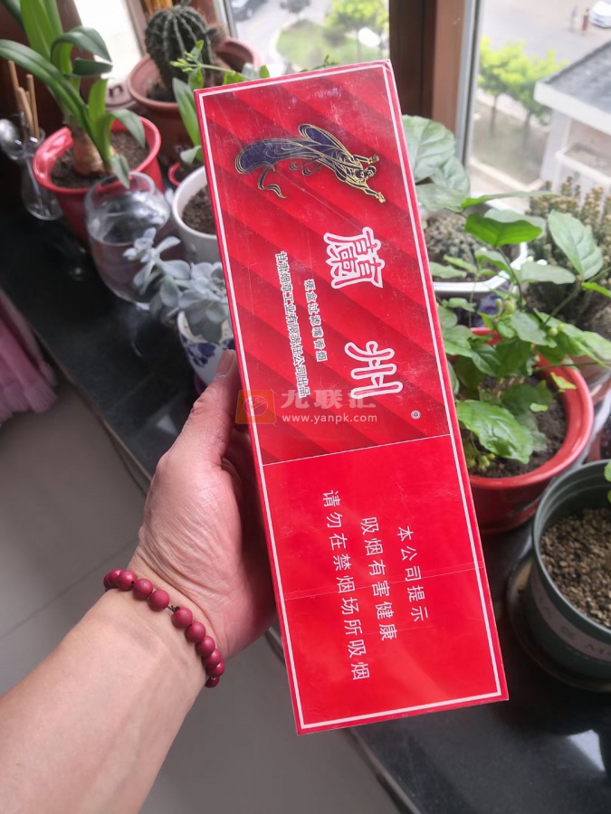 兰州(硬红)相册 644_45359