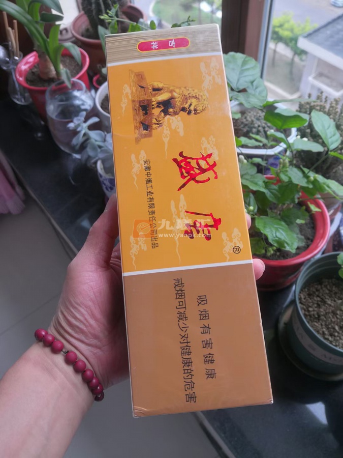 盛唐(吉祥)相册 2017_97409