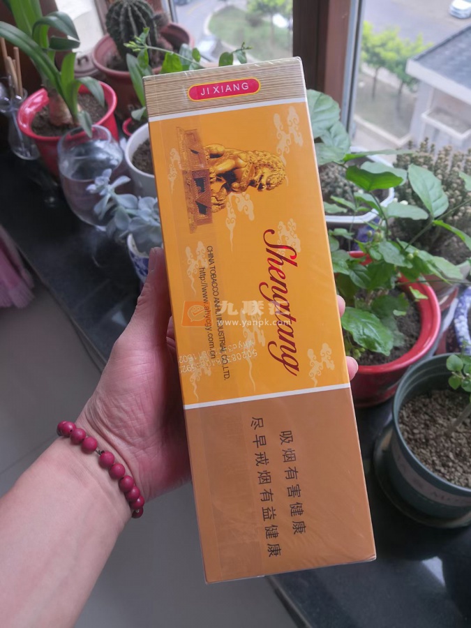 盛唐(吉祥)相册 2017_64080