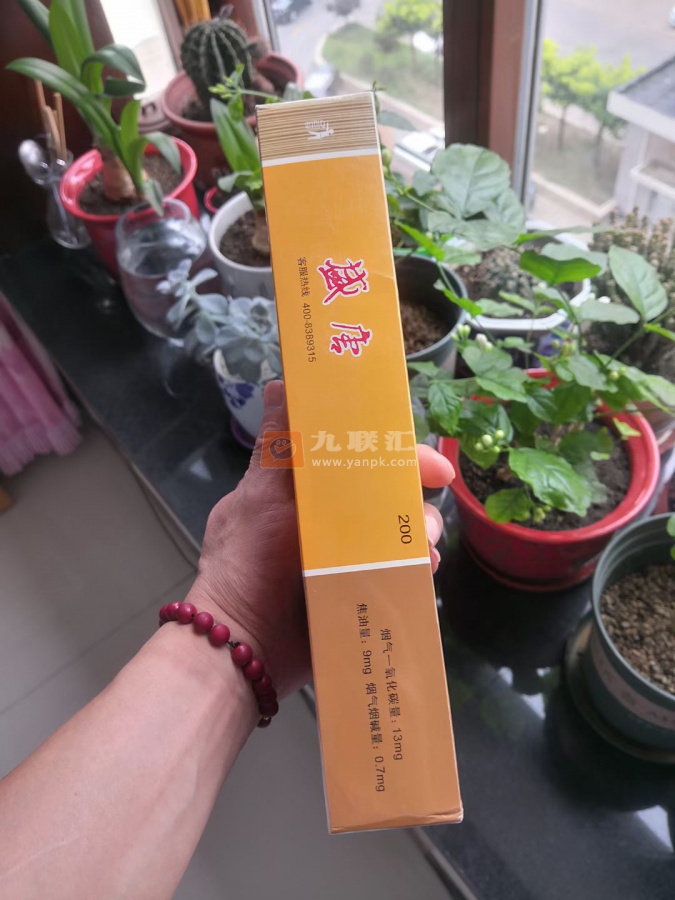 盛唐(吉祥)相册 2017_82663