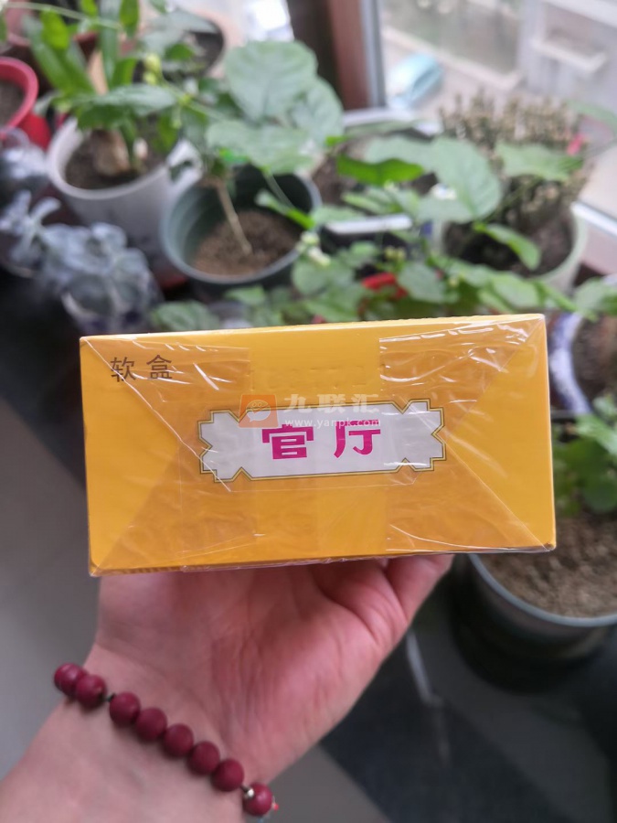 官厅(软)相册 93413_73885